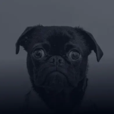 Uh oh. That page doesn't exist. - 乐竞体育直播APP